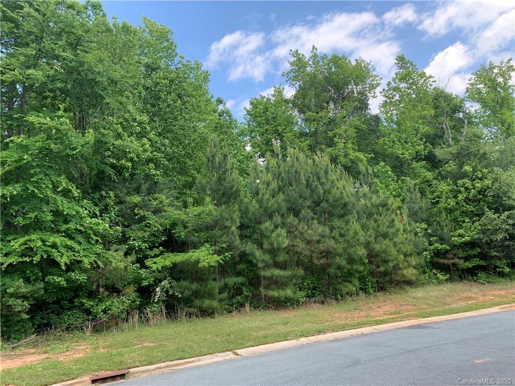 Property image 1 at 8403 Sarsfield Court, Waxhaw, NC 28173