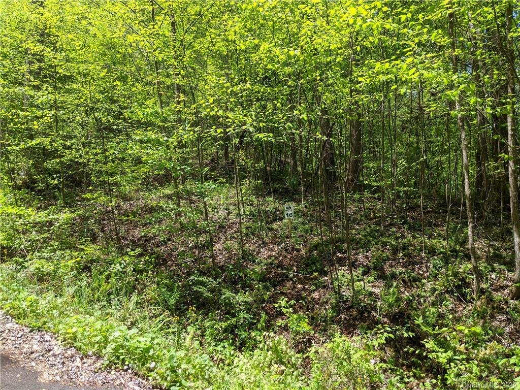 Property image 1 at Lot 16 Bear River Lodge Trail, Marshall, NC 28753