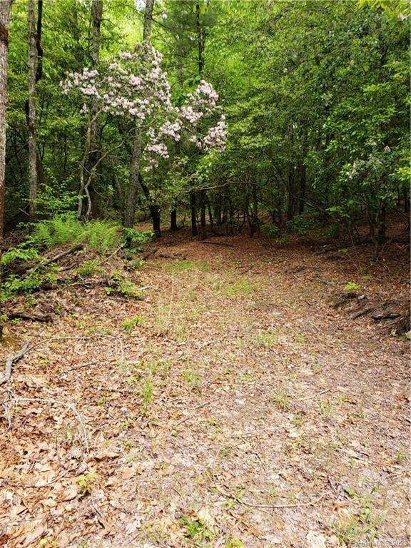 Property image 1 at Lot 10a Dogwood Court, Penrose, NC 28766