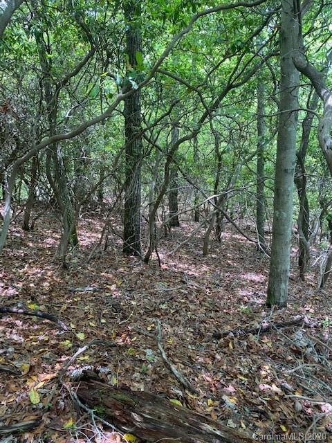 Tbd Falls View Drive