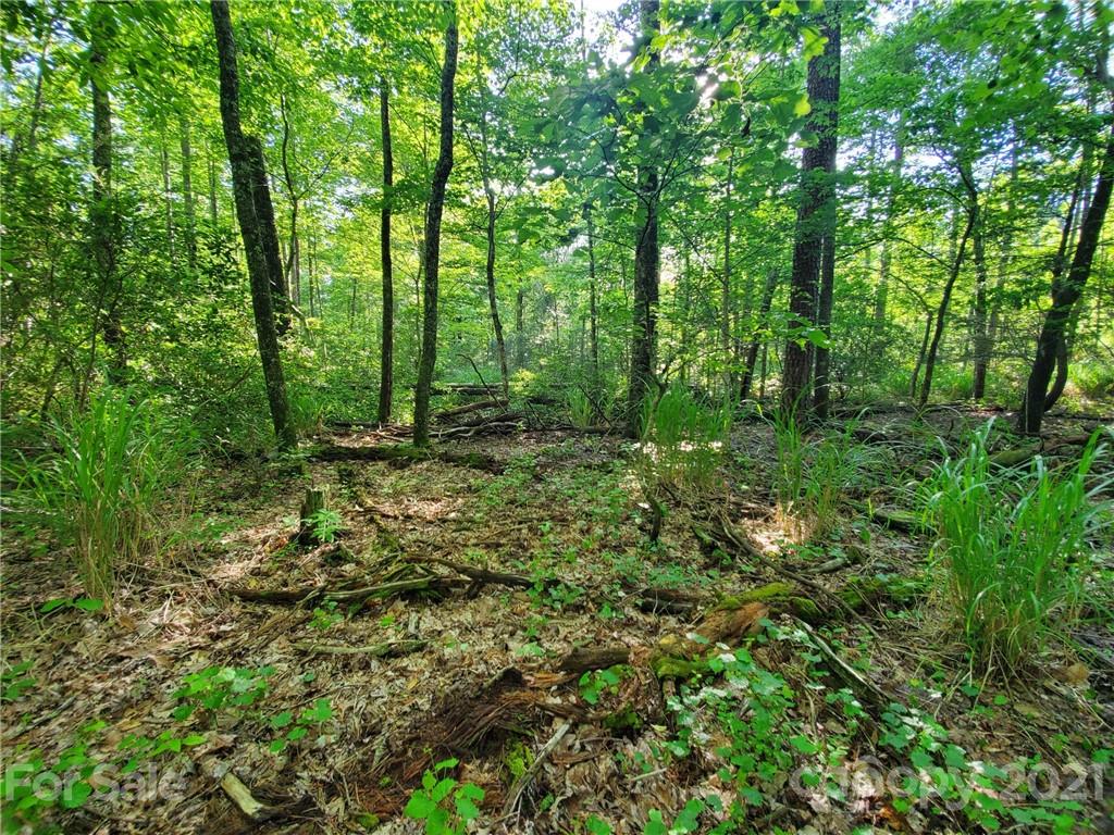 Property image 1 at 0 Bald Hill Court, Lake Lure, NC 28746