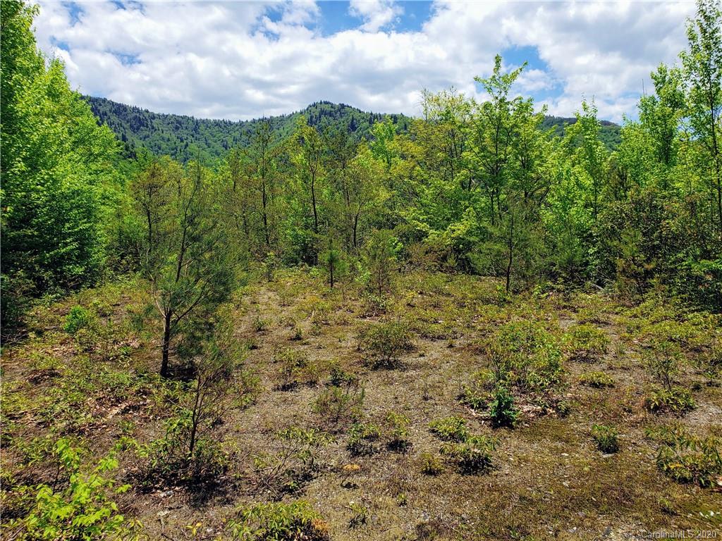 Property image 1 at 00 Shangri Lane, Qualla, NC 28789