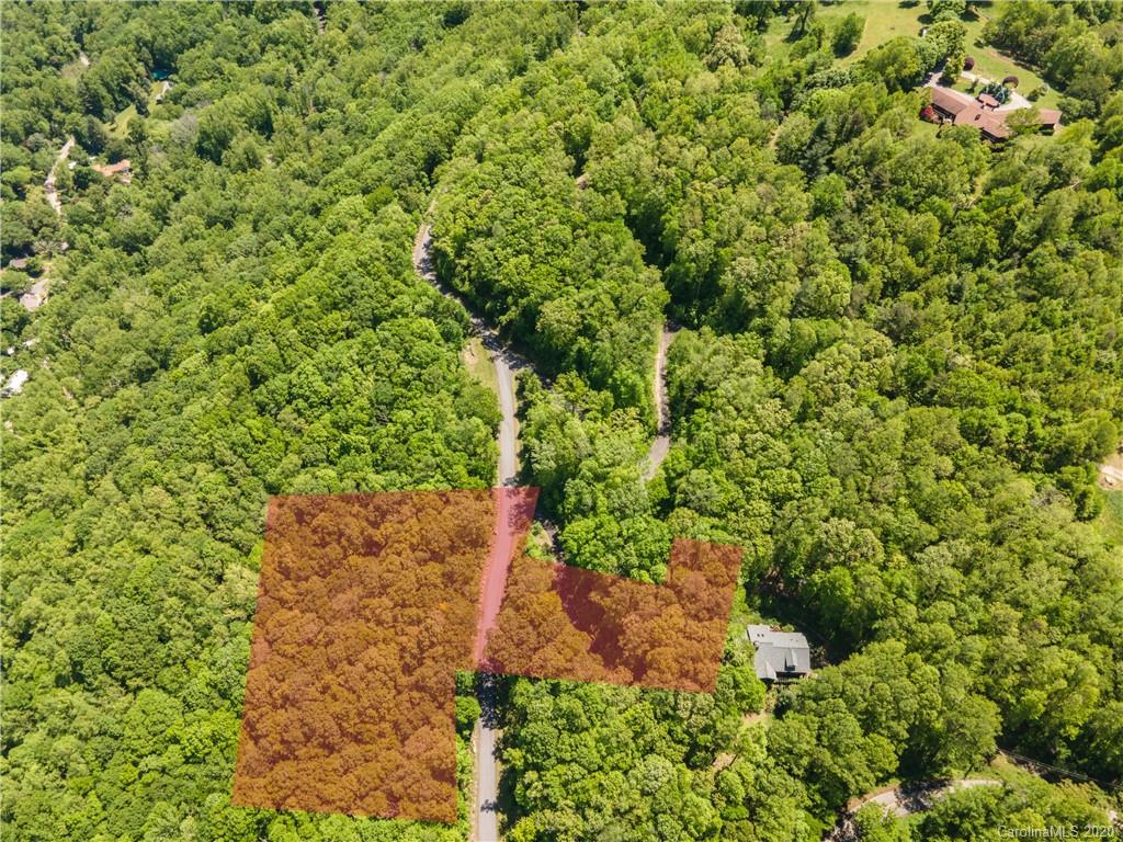 Property image 1 at 99999 Castanea Mountain Drive, Asheville, NC 28803