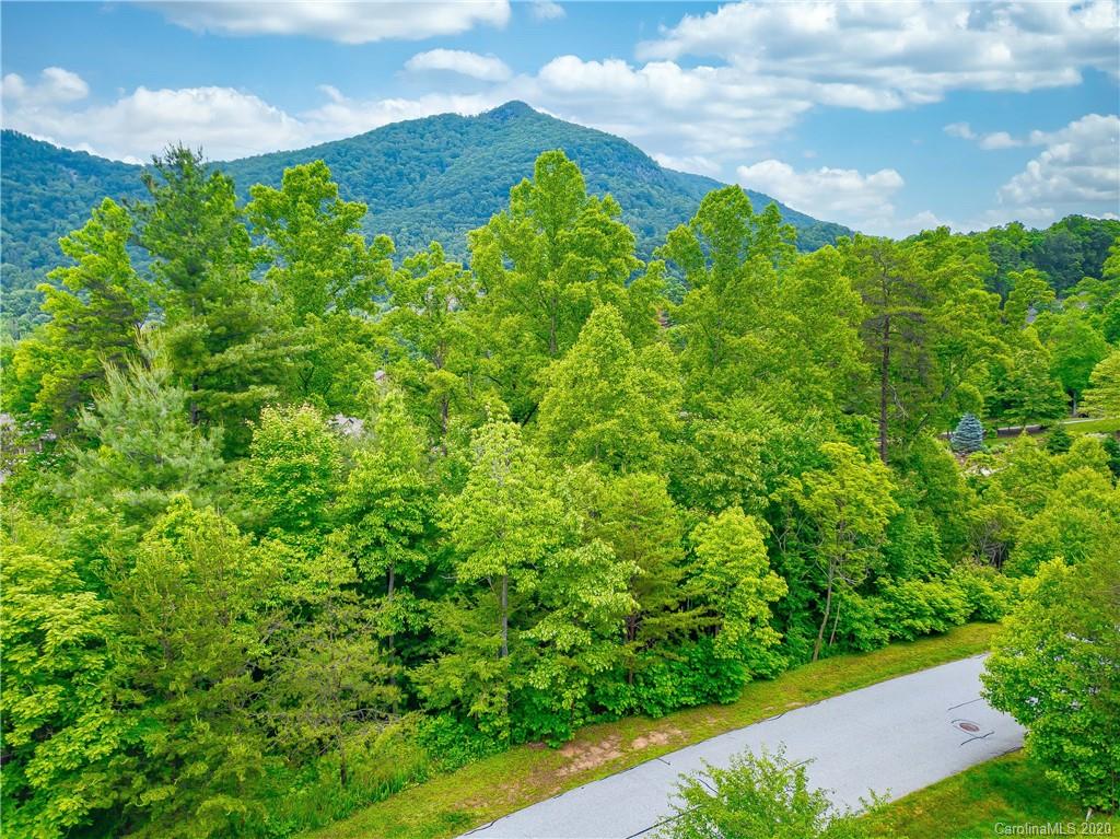 Property image 1 at 93 Village Pointe Lane, Asheville, NC 28803