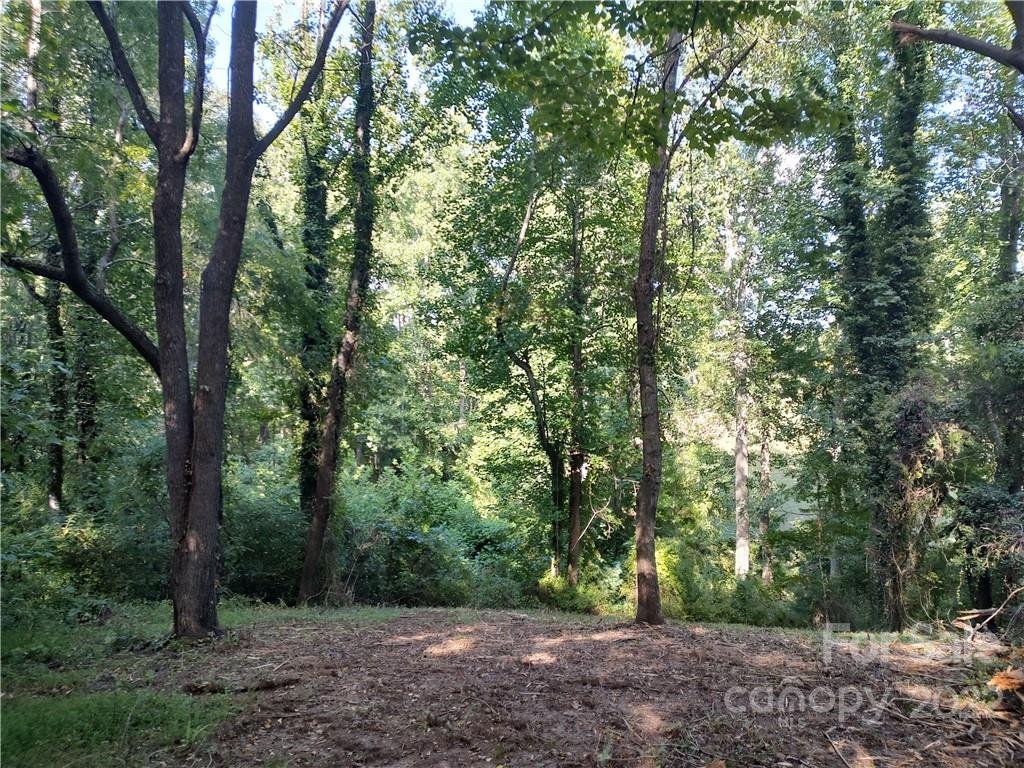 Property image 1 at 35 Baxter Woods Lane, Candler, NC 28715