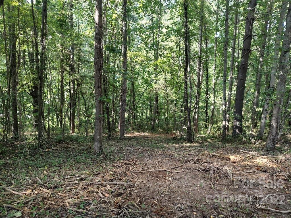 Property image 1 at 39 Baxter Woods Lane, Candler, NC 28715