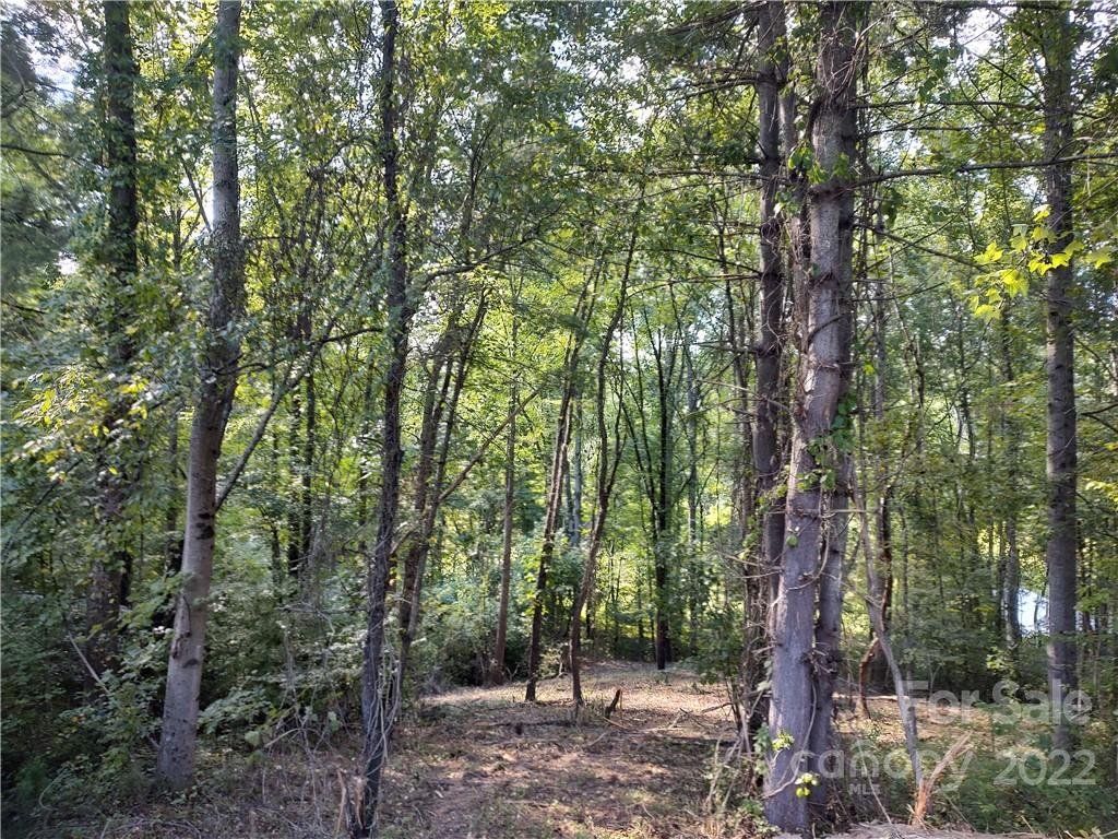 Property image 1 at 43 Baxter Woods Lane, Candler, NC 28715