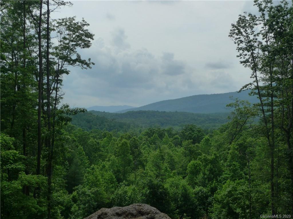 Property image 1 at 1621 Pisgah Preserve Drive, Nebo, NC 28761