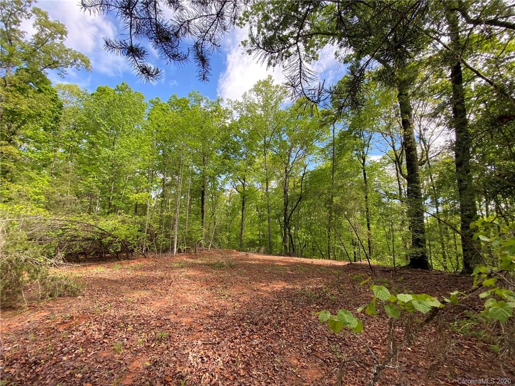 Property image 1 at 453 River Ridge Parkway, Rutherfordton, NC 28139