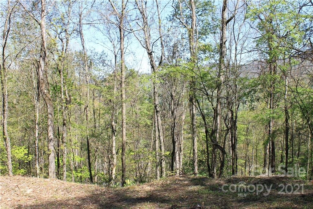 Property image 1 at 385 Valley View Drive, Maggie Valley, NC 28751