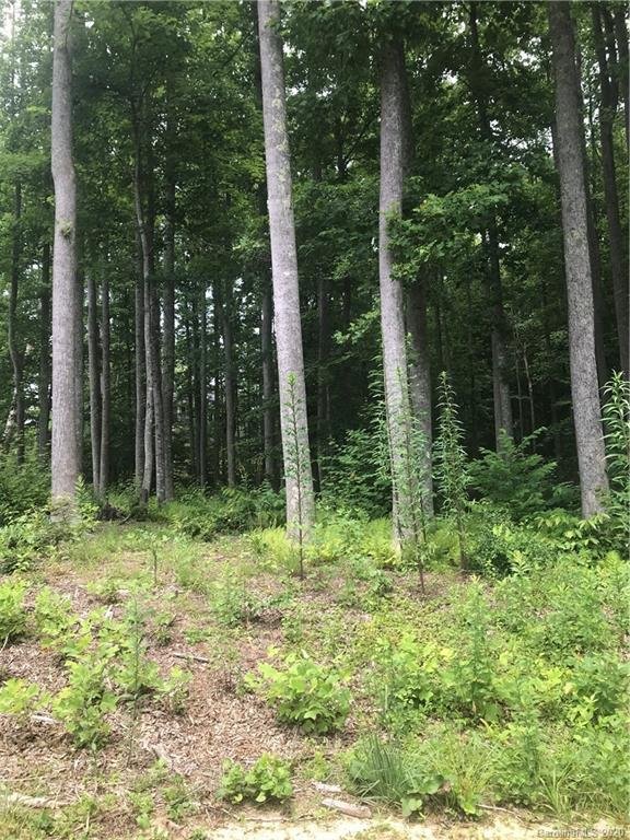 Property image 1 at 172 N Ridgeview Hill Drive, Hendersonville, NC 28792