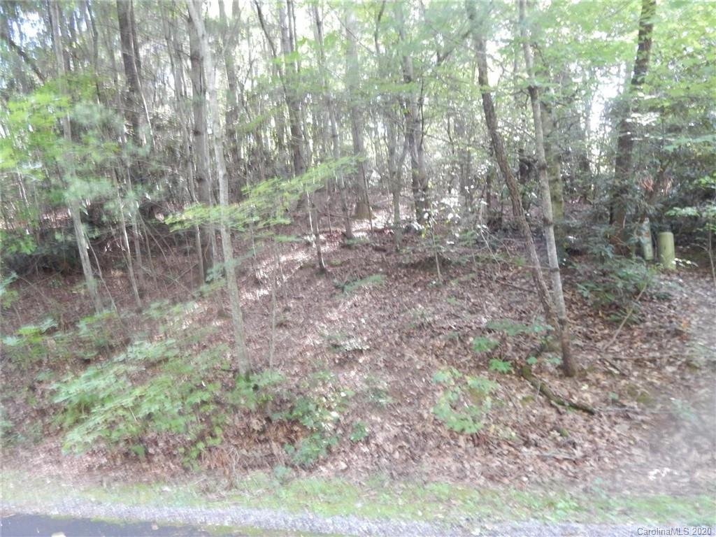 Property image 1 at 401 Greenstone Lane, Mills River, NC 28759