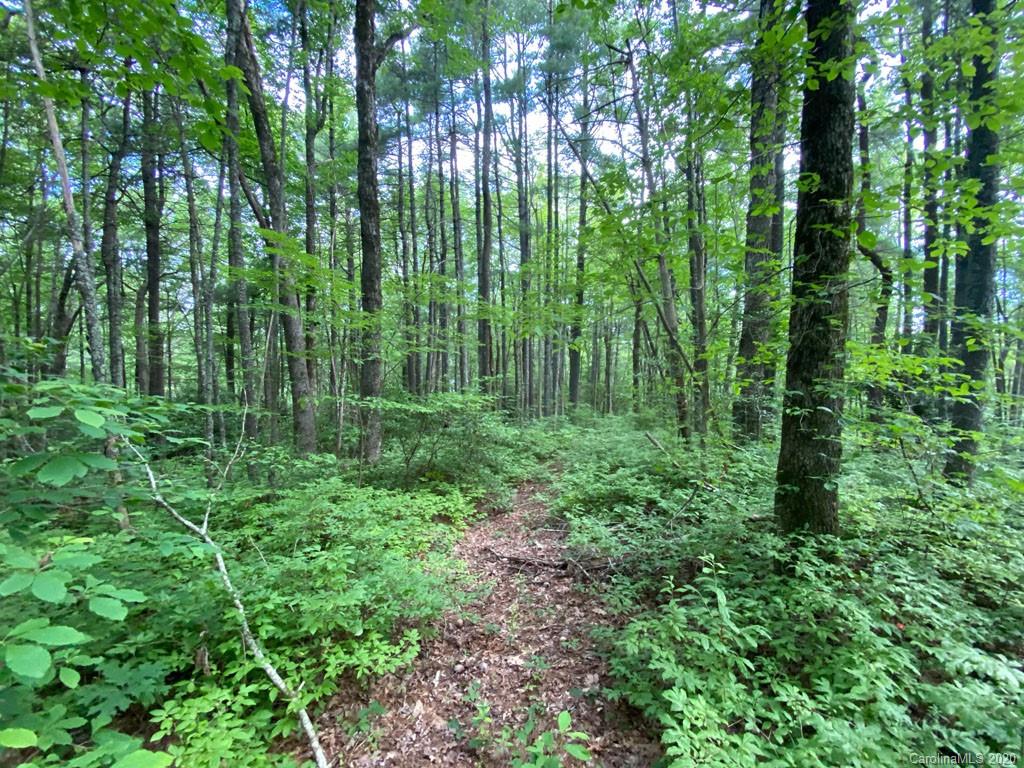 Property image 1 at Tbd Rock Creek Road, Rosman, NC 28772