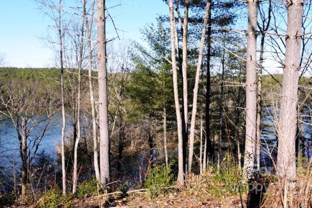 Property image 1 at 4002 Nesting Lane, Valdese, NC 28690