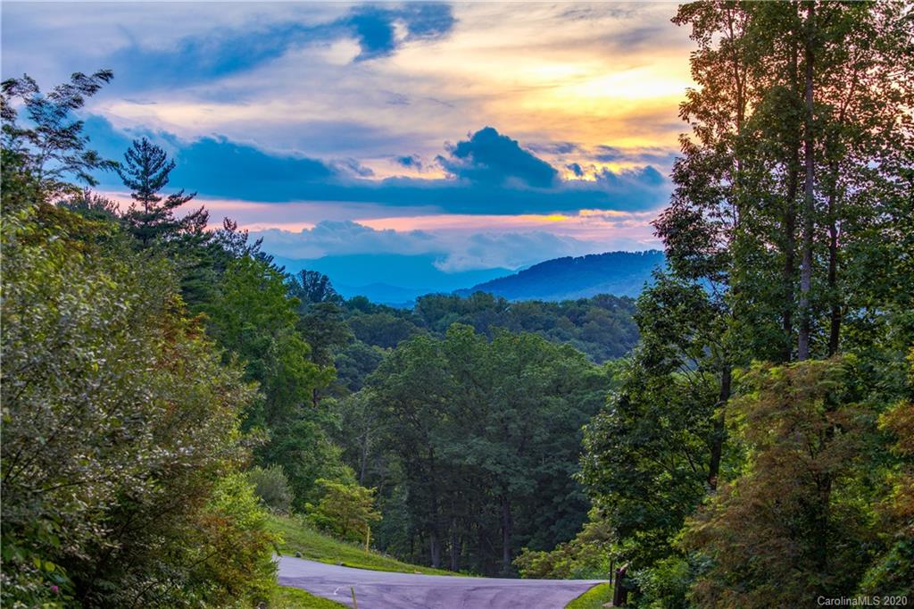 Property image 1 at 98 Bartrams Walk Drive, Asheville, NC 28804