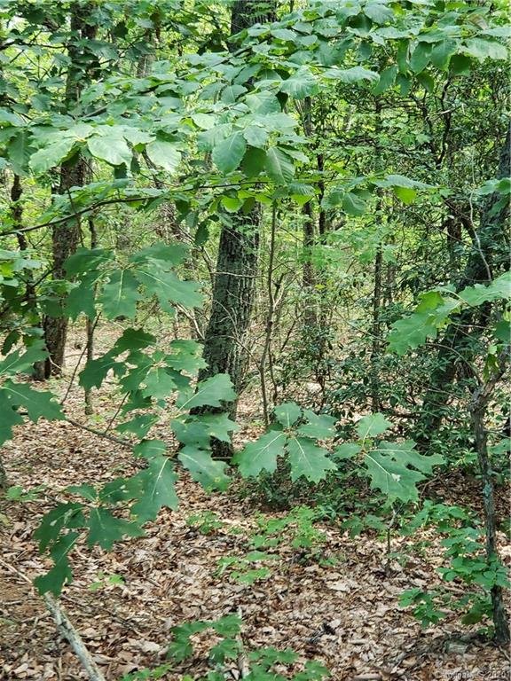 Property image 1 at 0 Sleepy Hollow Road, Connelly Springs, NC 28612