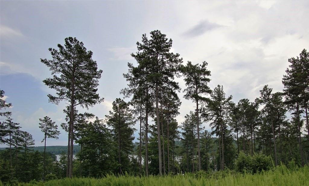 Property image 1 at Tbd Waters Edge Drive, Granite Falls, NC 28630