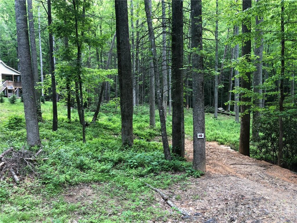 Property image 1 at 1060 Wash Freeman Road, Hendersonville, NC 28792