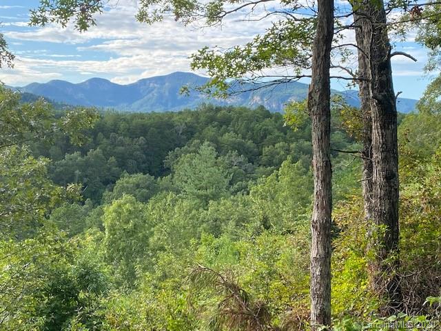 Property image 1 at 0000 Peaks Drive, Lake Lure, NC 28746