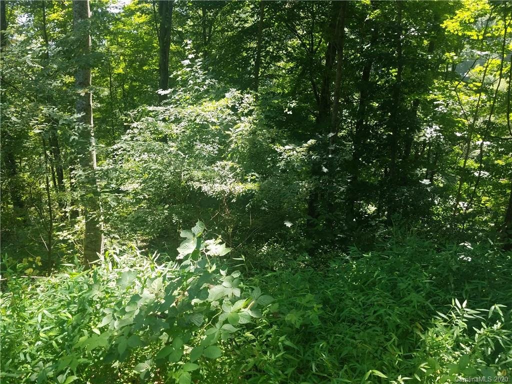 Property image 1 at 00 Spring Valley Drive, Waynesville, NC 28786