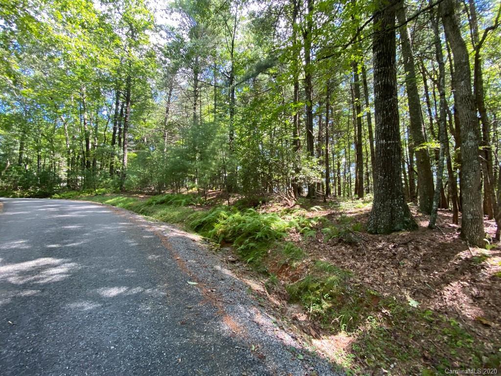 Property image 1 at Tbd Sassafras Road, Cedar Mountain, NC 28718