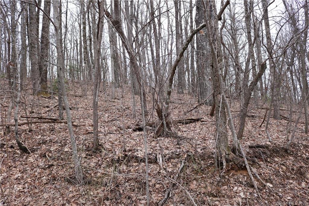 Property image 1 at 516 River Ridges Road, Hendersonville, NC 28739