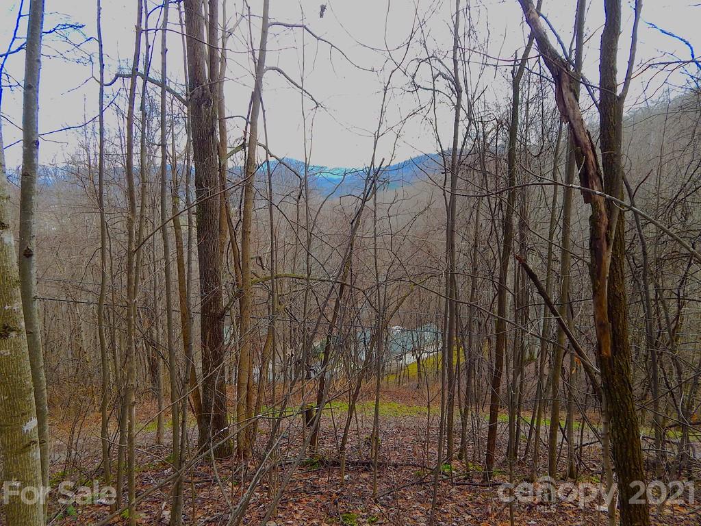 Property image 1 at Lot 505 Kitty Lane, Waynesville, NC 28786