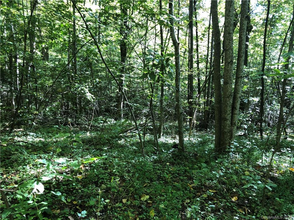 Property image 1 at 1 14 Ac Of Lot 79 Haven Drive, Saluda, NC 28773