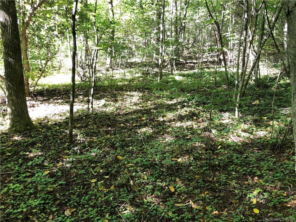 Property image 1 at 1 60 Ac Of Lot 79 Haven Drive, Saluda, NC 28773