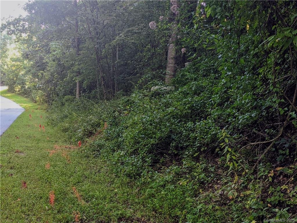 Lot 33 Black Bear Trail