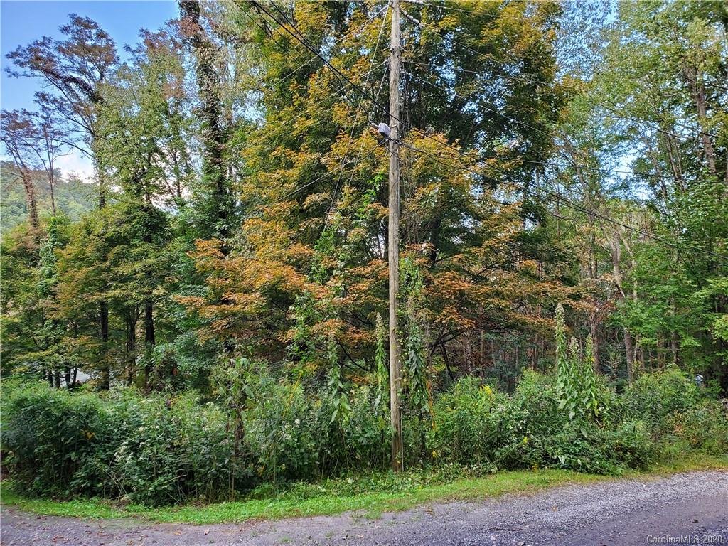 Property image 1 at Tbd Burnt Fork Trail, Waynesville, NC 28786