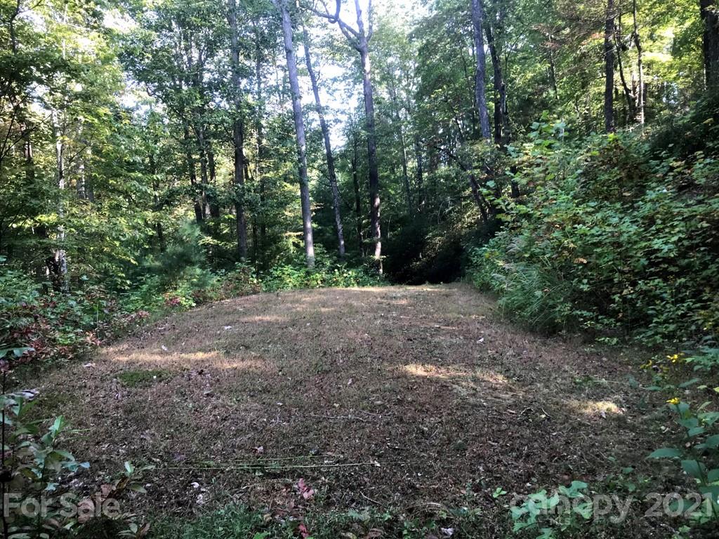 Property image 1 at Lot 100 Deep Woods Lane, Saluda, NC 28773