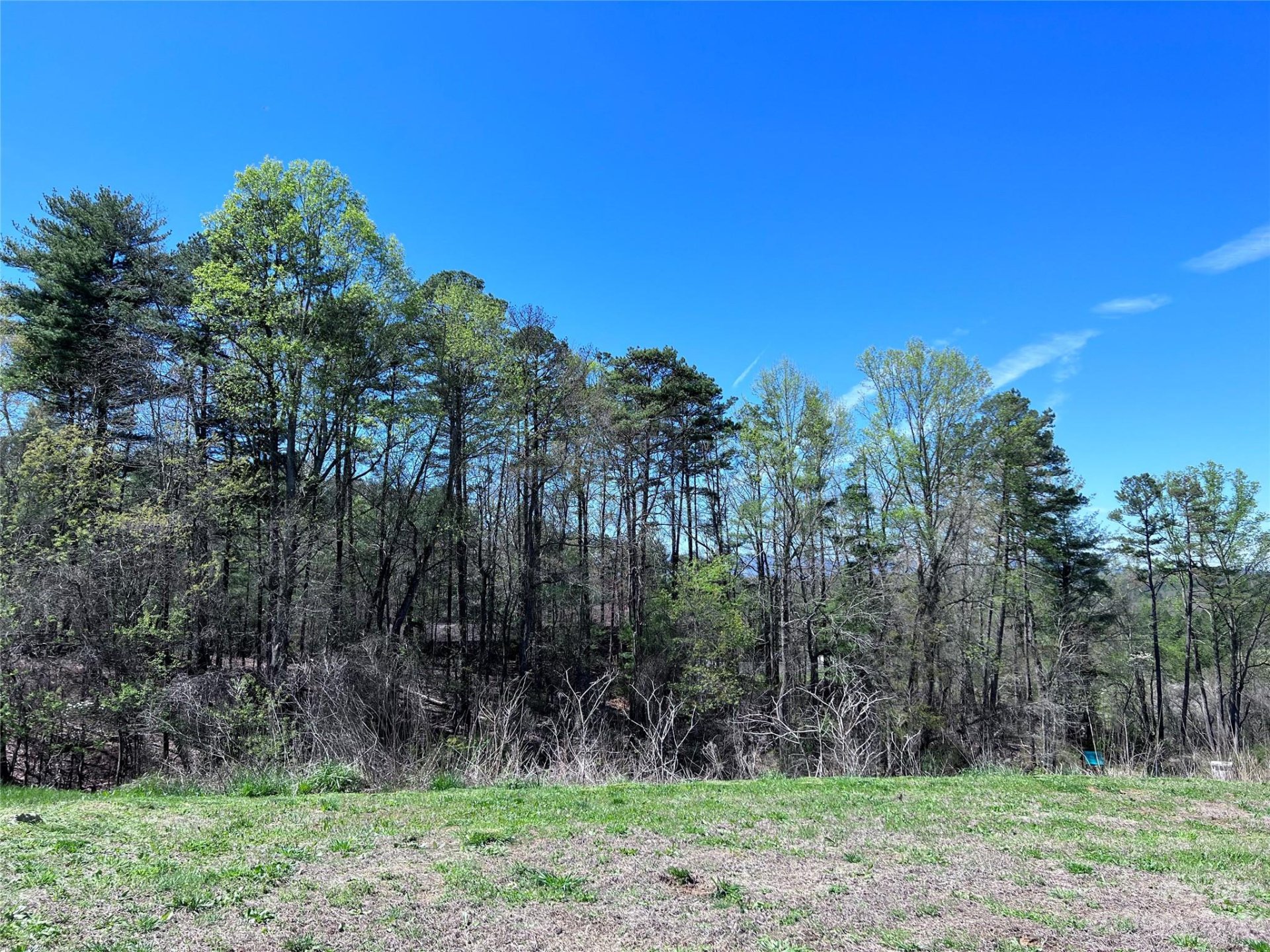 Property image 1 at 134 Old Macedonia Road, Asheville, NC 28701