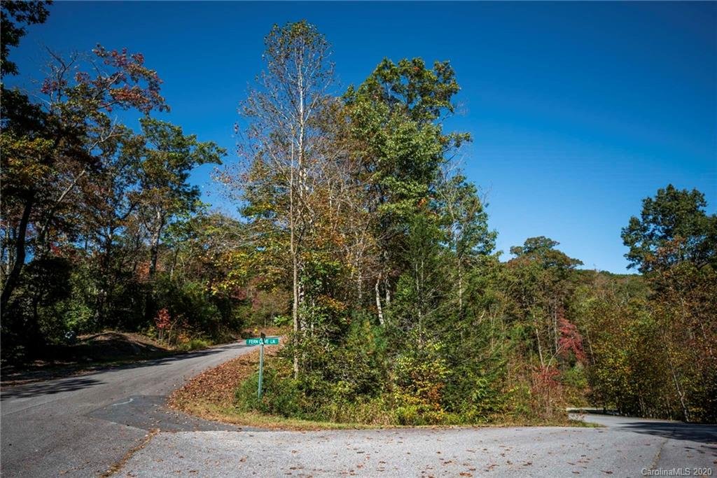 Property image 1 at Tdb Fern Cove Lane, Pisgah Forest, NC 28768