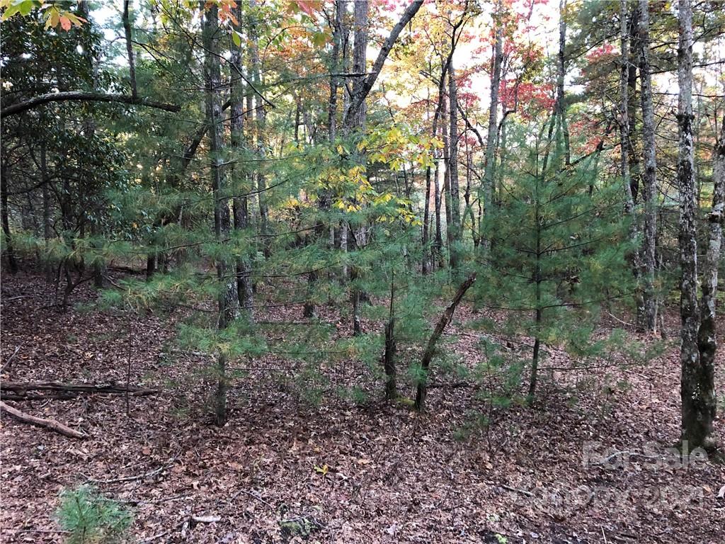 Property image 1 at J111 Mulberry Circle, Brevard, NC 28712