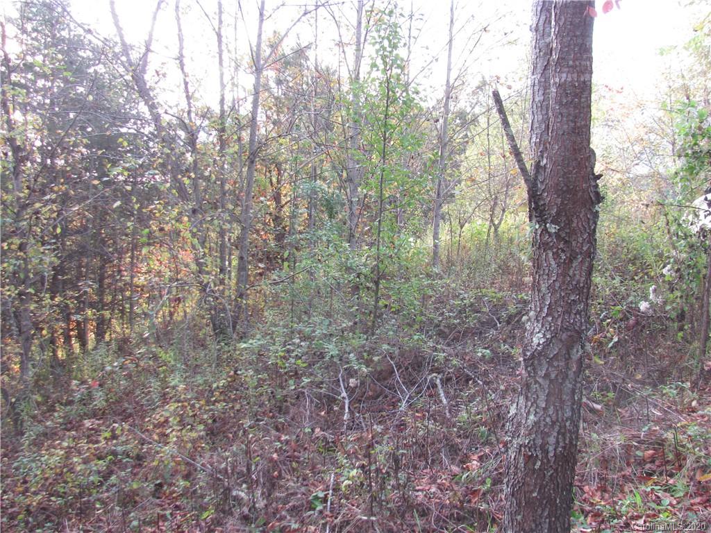 Property image 1 at 532 Sky Ridge Drive, Leicester, NC 28748