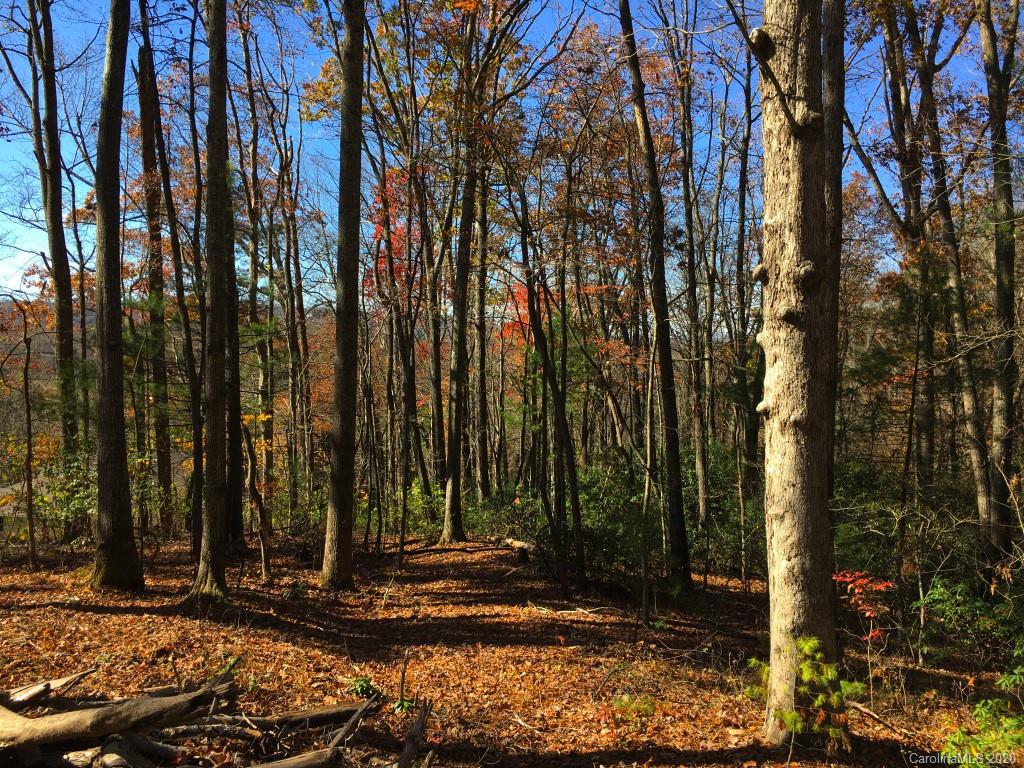 Property image 1 at Lot W1 Curtain Bluff None, Hendersonville, NC 28791