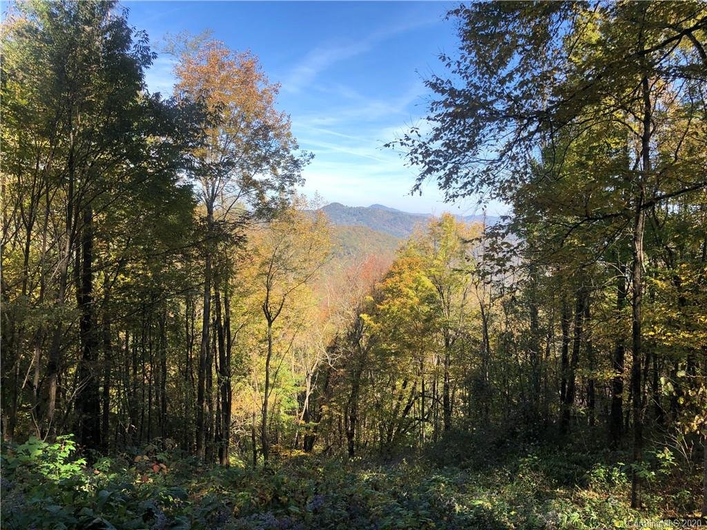 Property image 1 at Lot 232 Tannehill Lane, Waynesville, NC 28786
