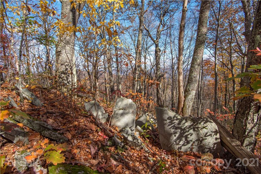 Property image 1 at Tract 8 9 Sigogglin Trail, Waynesville, NC 28785