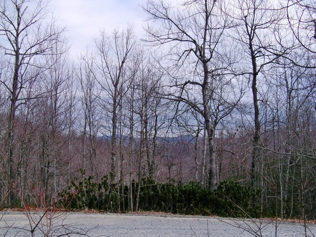 Property image 1 at Tbd Eastatoe Gap Road, Rosman, NC 28772