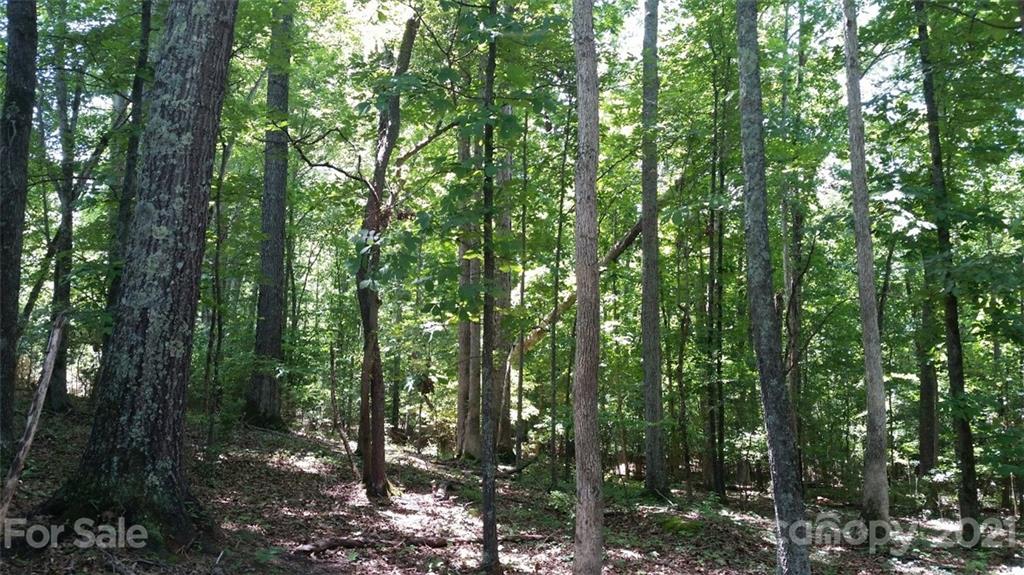 Property image 1 at 55 Ac Balmoral Drive, Rock Hill, SC 29732