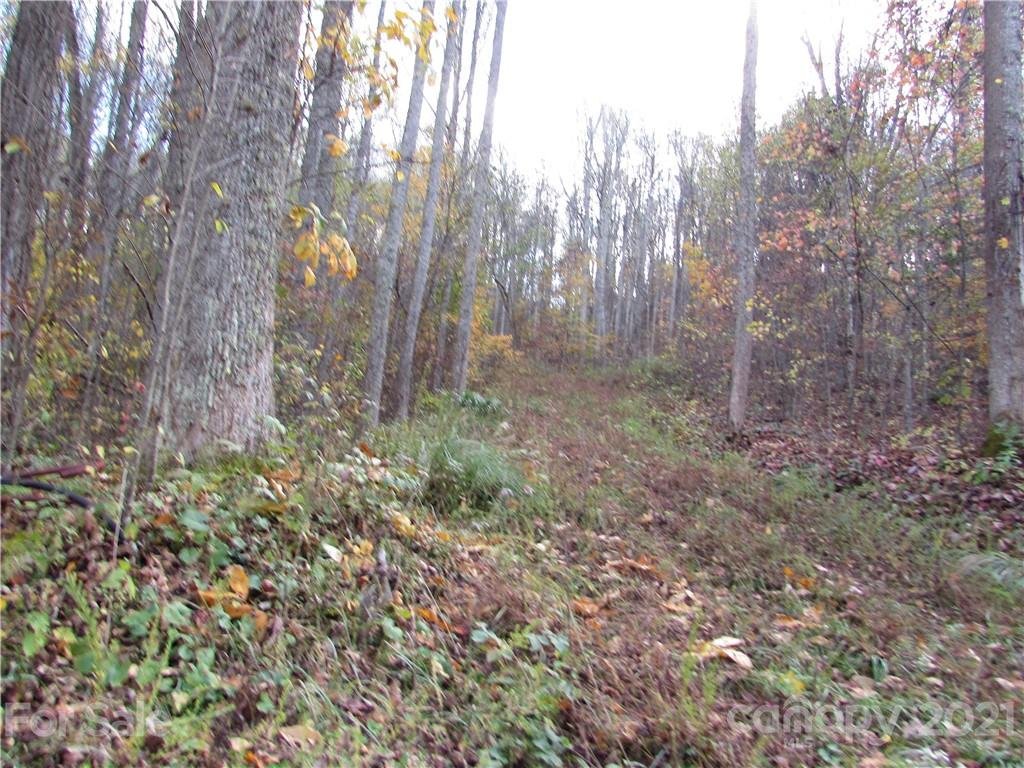 Property at E 3 Red Wolf Run None, Mars Hill, NC 28754