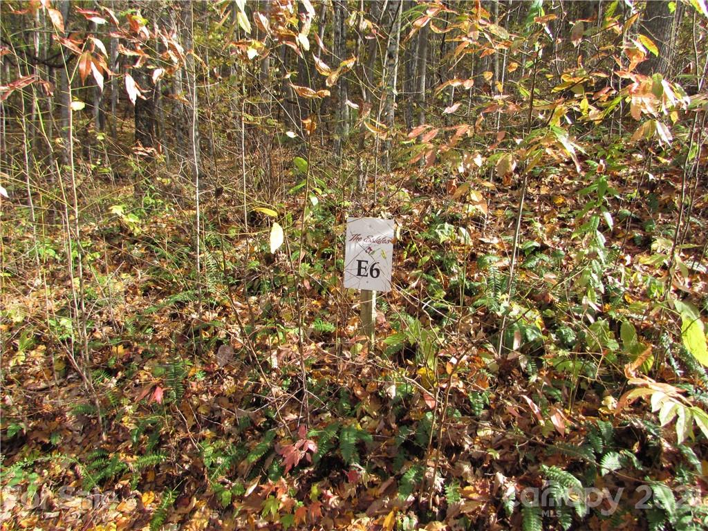 Property at E 6 Red Wolf Run None, Mars Hill, NC 28754