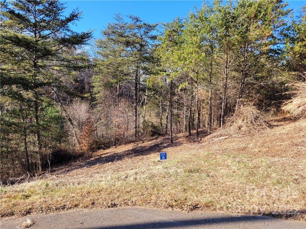 Property image 1 at Lot 8 Big Rocky Top Drive, Weaverville, NC 28787