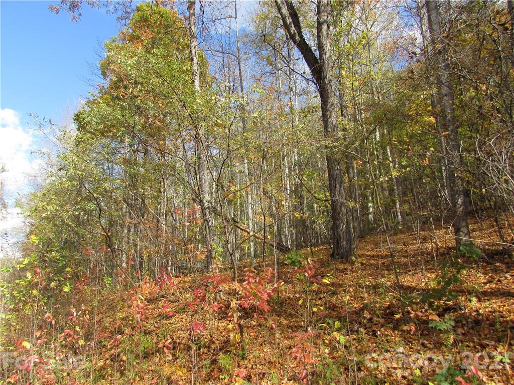 Property at E 13 Red Wolf Run None, Mars Hill, NC 28754