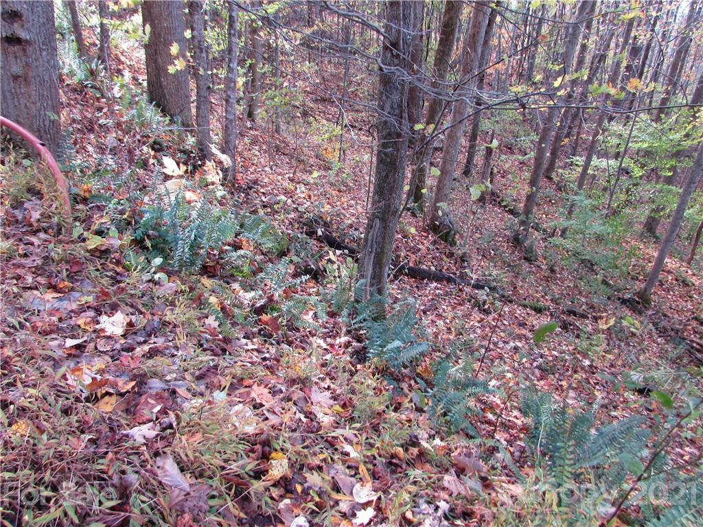 Property at E 15 Red Wolf Run None, Mars Hill, NC 28754