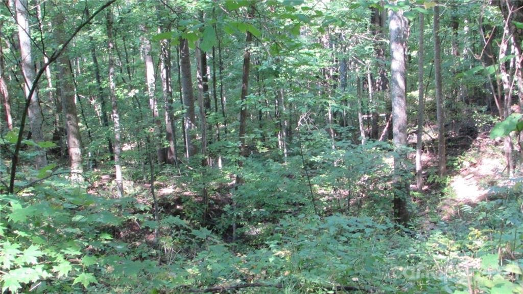 Property at E 17 Red Wolf Run None, Mars Hill, NC 28754