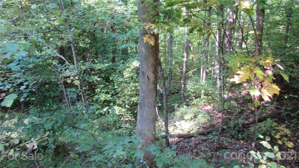 Property at E 19 Red Wolf Run None, Mars Hill, NC 28754