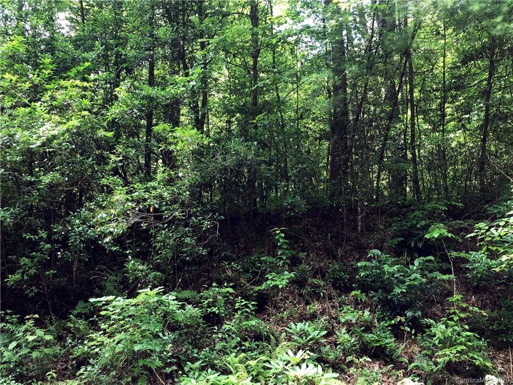 Property image 1 at 153 Sunrise Court, Sapphire, NC 28774