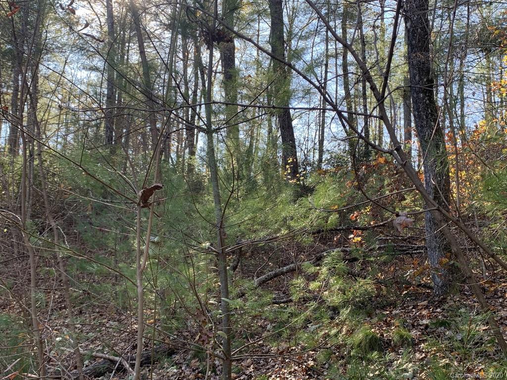 Property image 1 at Lot 83 Mountain Home Trail, Brevard, NC 28712